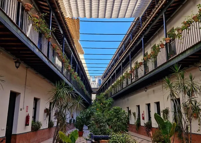 Patio Cartuja