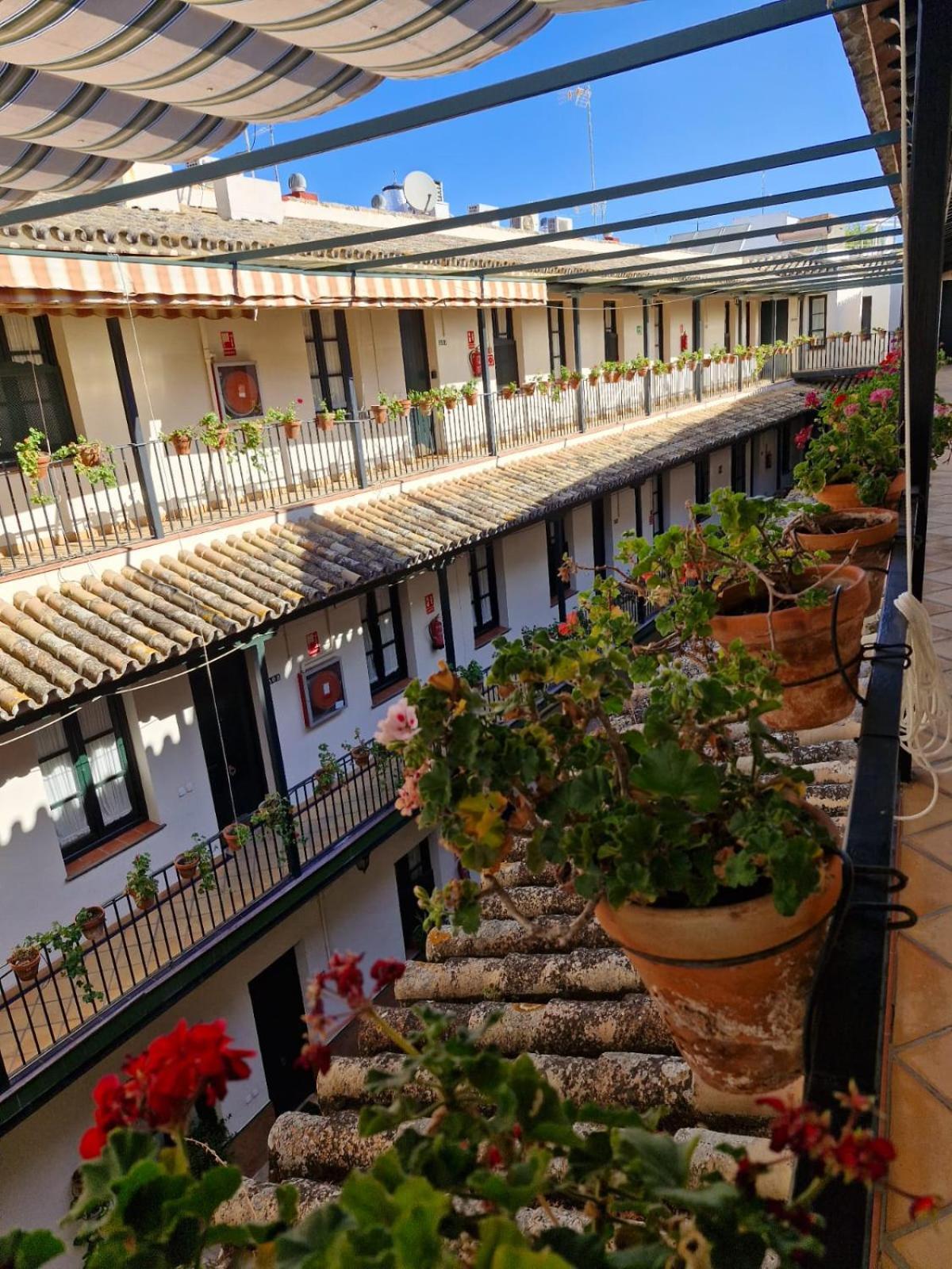 Apartamento Patio Cartuja Sevilla