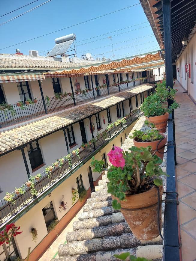Apartamento Patio Cartuja