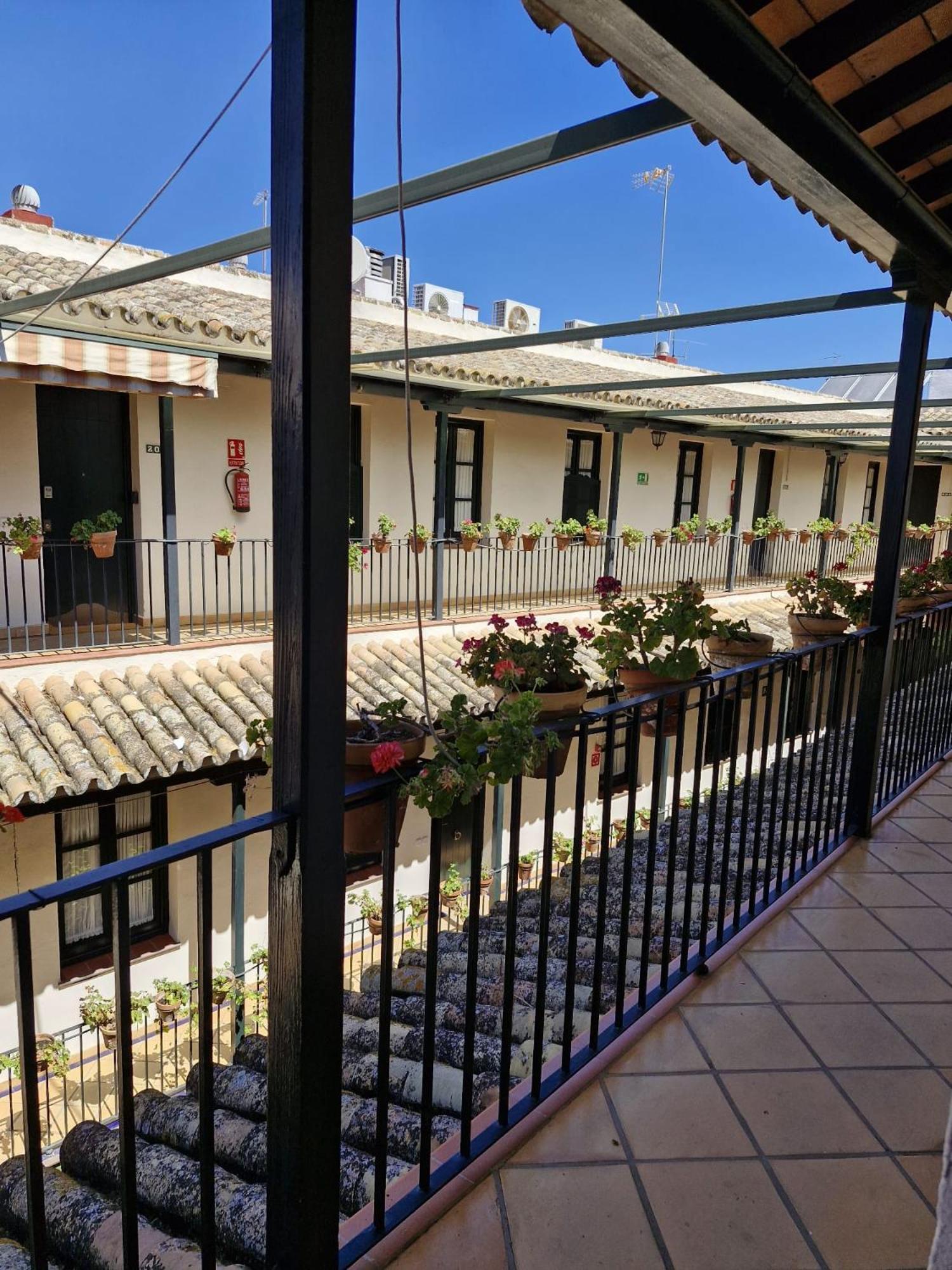 Patio Cartuja Appartement