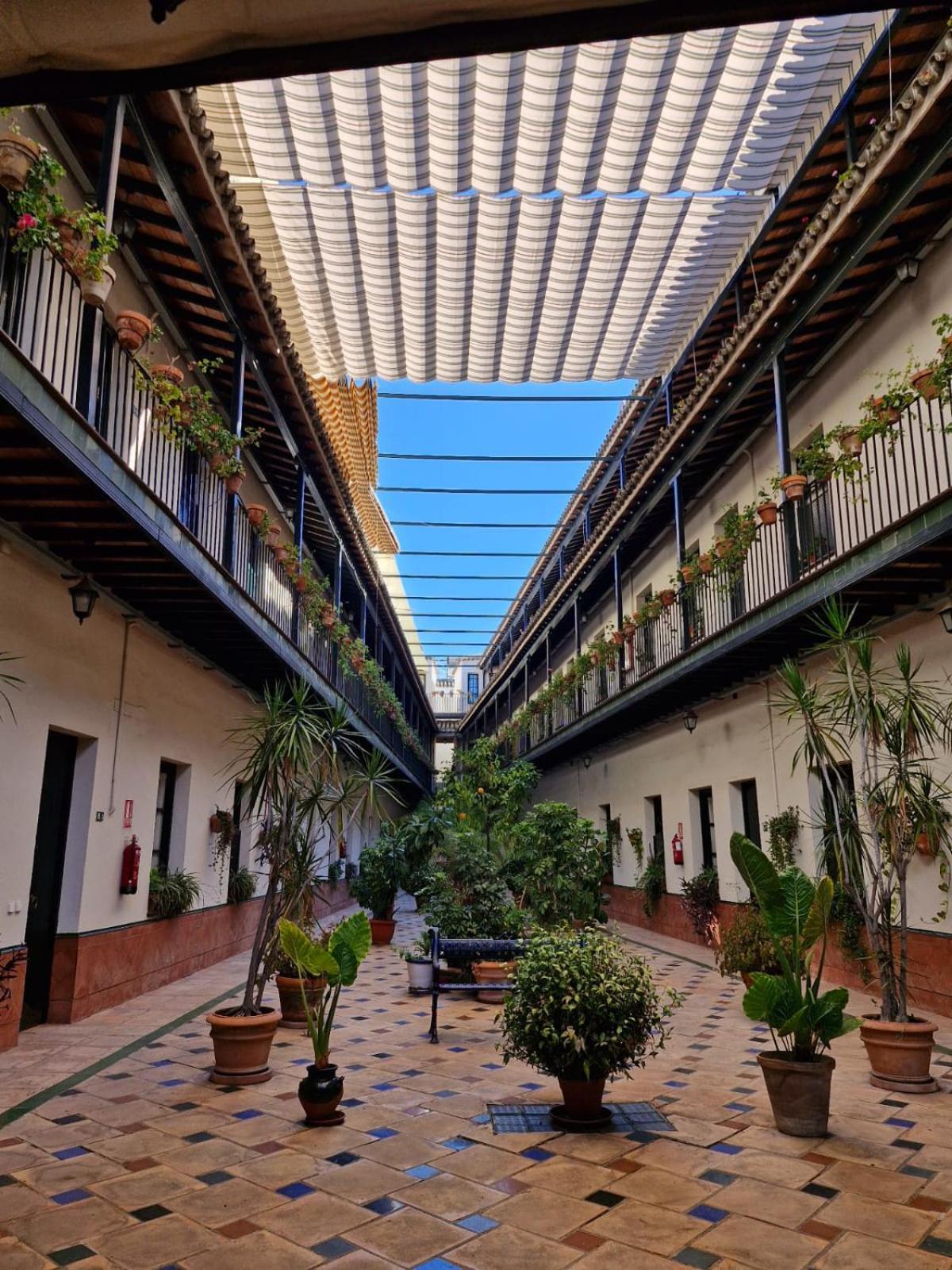 Patio Cartuja Appartement